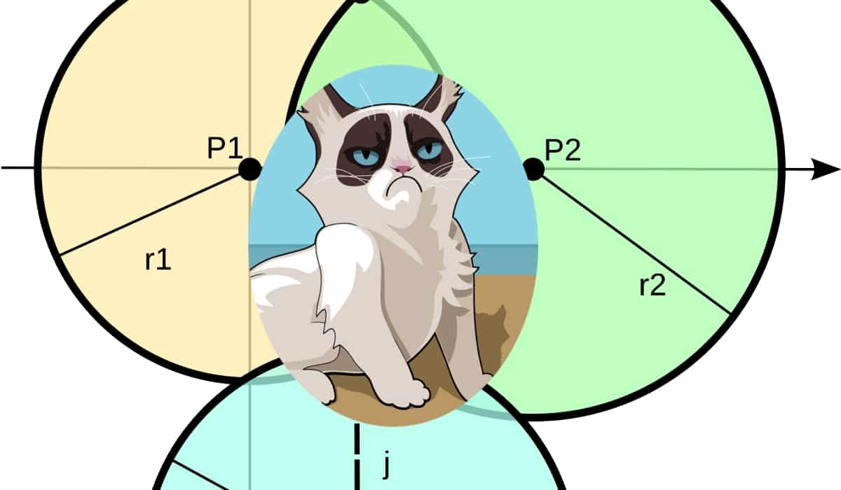 A grumpy cat is shown in a venn diagram.