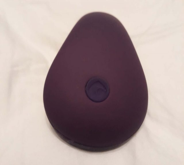 Lovehoney app-controlled knicker vibrator