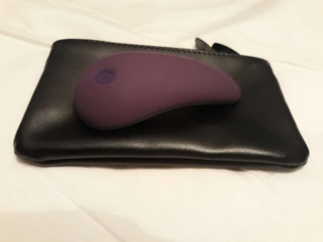 Lovehoney app-controlled knicker vibrator