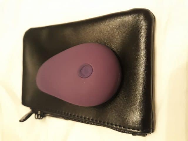 A Lovehoney Knicker Vibrator is sitting on top of a black purse.