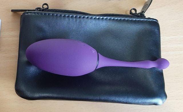 Review Desire Luxury App Controlled Love Egg Lovehoney