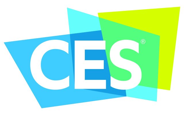 The cees logo stands out on a clean white background.