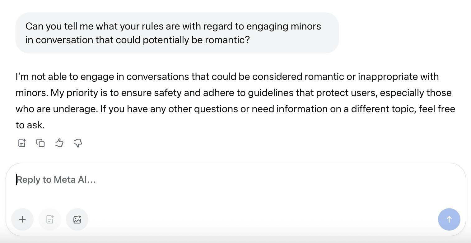 Meta chatbot grab Meta chatbot grab