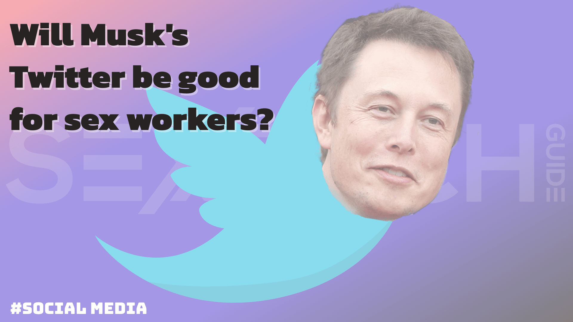 Musk Twitter Why Elon Musk buying Twitter could be good for porn creators (and catgirls)