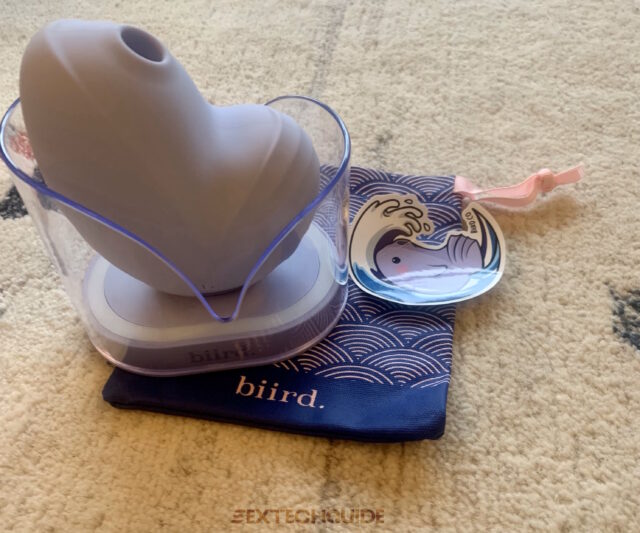 A blue bird is perched on a rug alongside a bag.