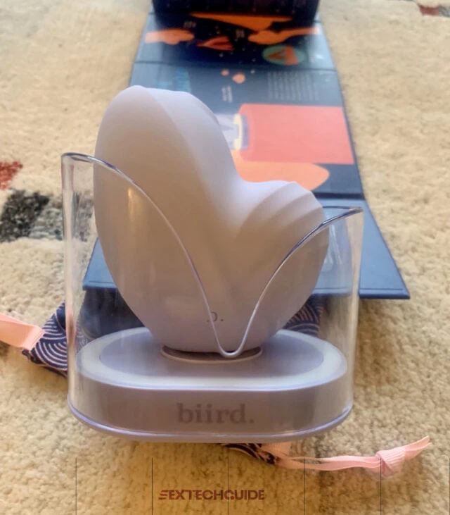 A blind box with a heart shaped Namii device inside.