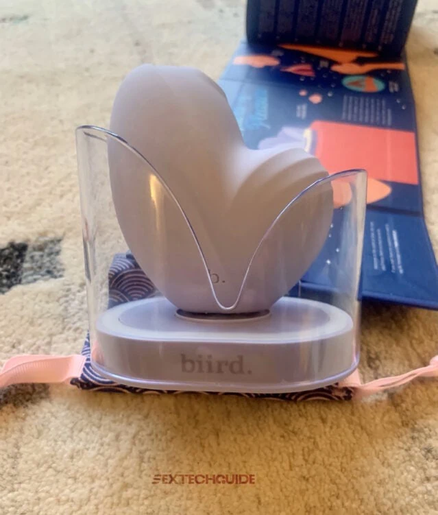 A pink Namii bird in a box on the floor.