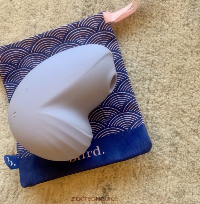 A blue and white pouch with a cute owl.