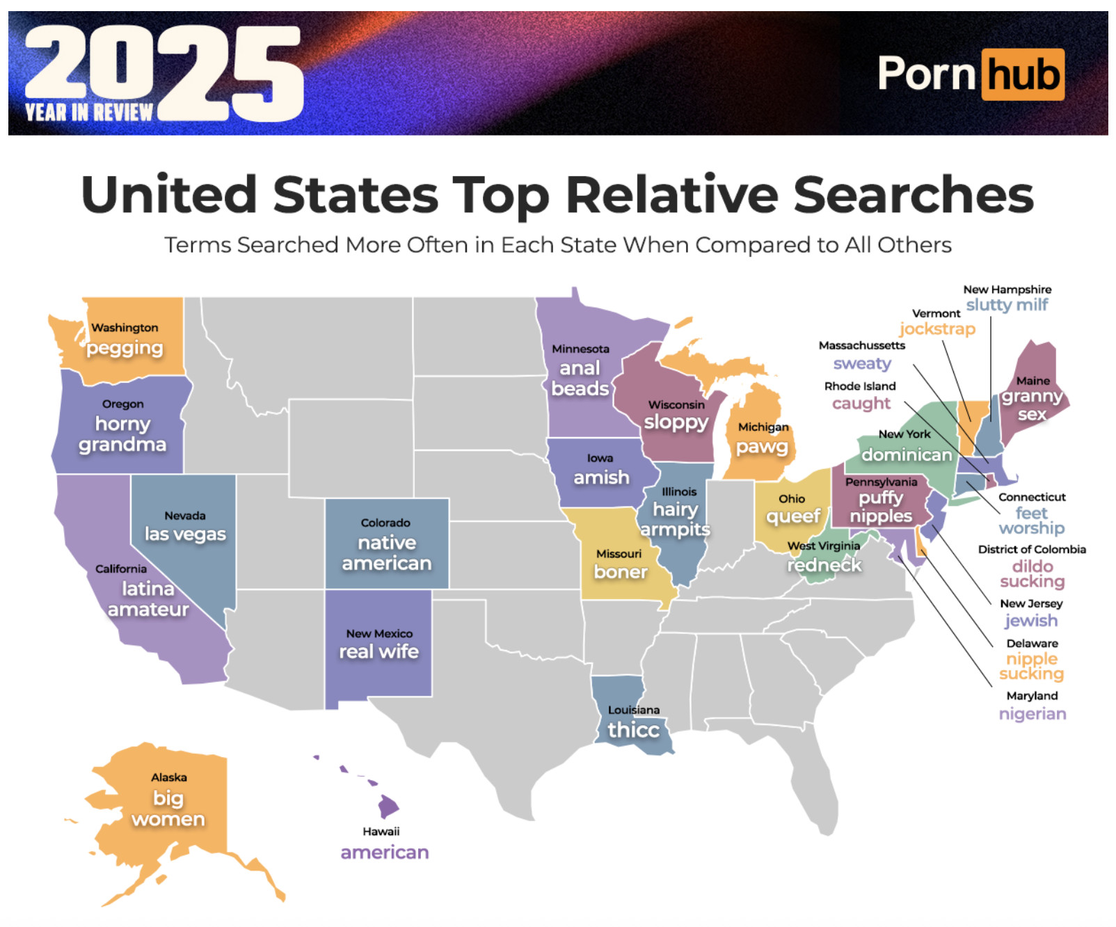 Pornhub insights US map