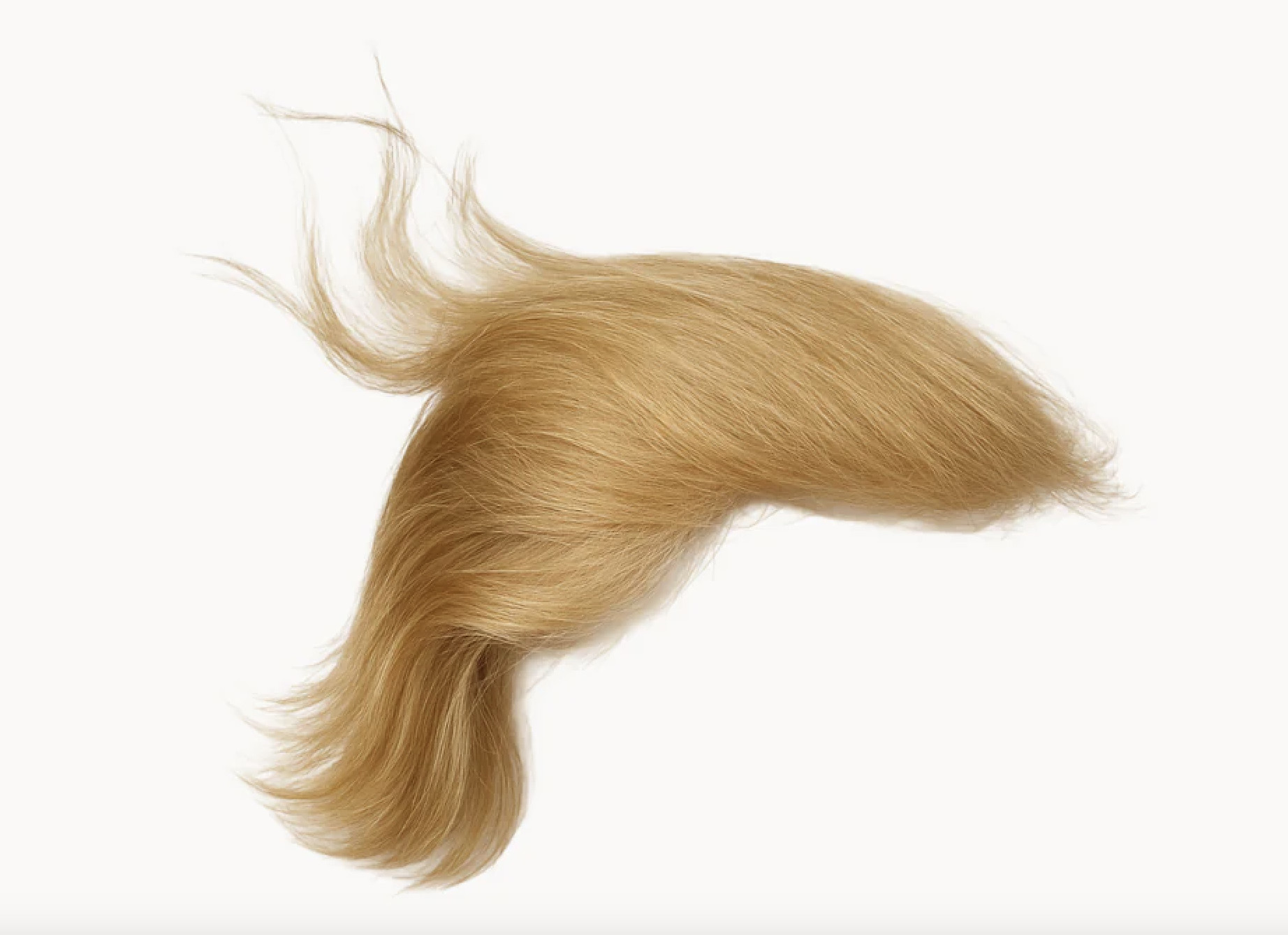 Trump tariff hair