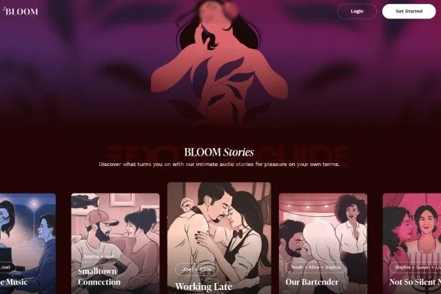 A screen shot of the AI-driven erotic stories website.