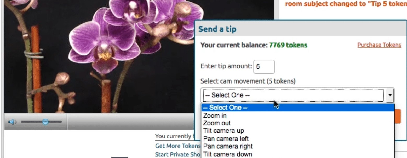 A video player showcasing the innovative Chaturbate feature with a flower displayed on-screen.