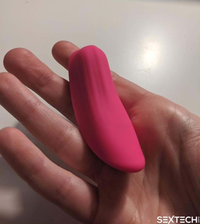 Lovense Ferri is small