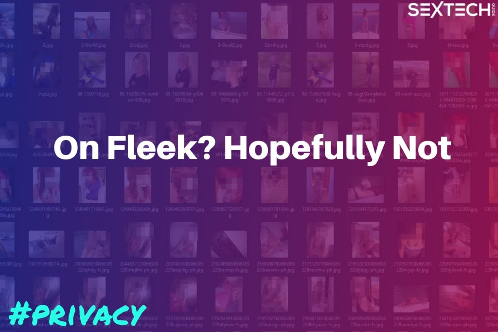 Fleek user images leaked