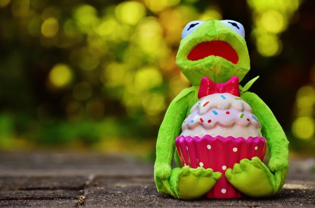 A cupcake-wielding stuffed frog recalling a missed anniversary and hinting at what lies ahead.