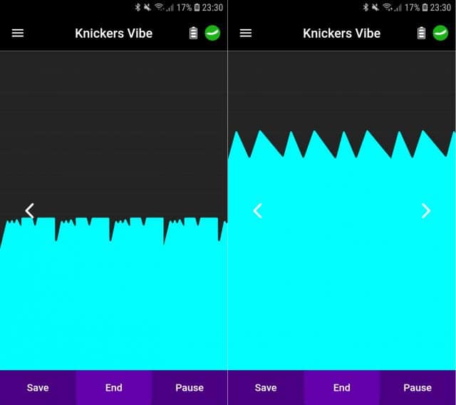 Lovehoney app-controlled knicker vibe app