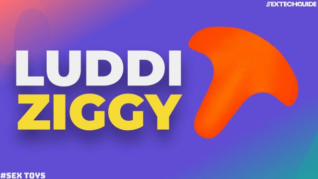 The logo for luddi ziggy.