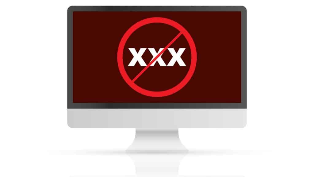 A computer screen displaying an age verification prompt.