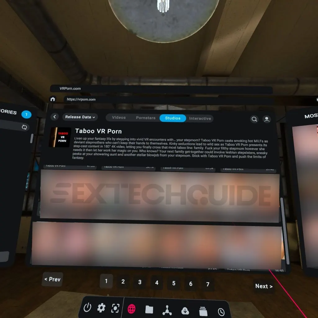 A screenshot of the Quest 3 VR Porn guide.