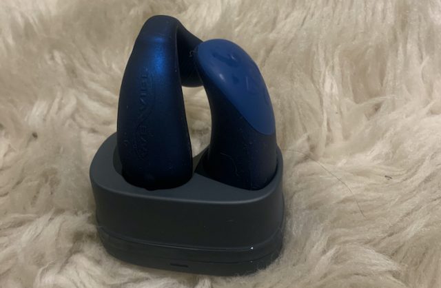 we-vibe chorus review